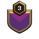 TEAM SOLID CWL badge