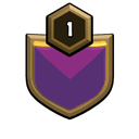 TEAM SOLID 5 badge